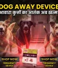 Dog Repellent System, Very Loud & Noisy Frequency Sound, Solution to Keep Street Dogs Away (2200 Sq. Feet Area)