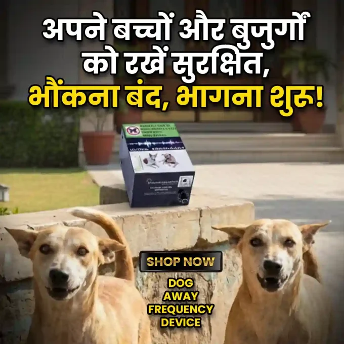 Dog Repellent System, Very Loud & Noisy Frequency Sound, Solution to Keep Street Dogs Away (2200 Sq. Feet Area)
