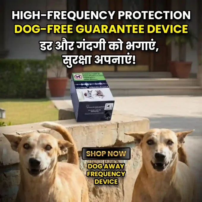 Dog Repellent System, Very Loud & Noisy Frequency Sound, Solution to Keep Street Dogs Away (2200 Sq. Feet Area)